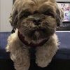sncclothes